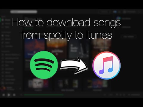 Transfer itunes library to spotify